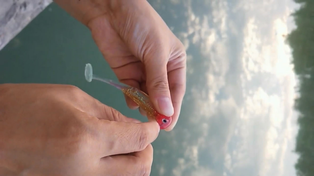 软鱼T尾的挂钩教程,简单易学,一看就懂