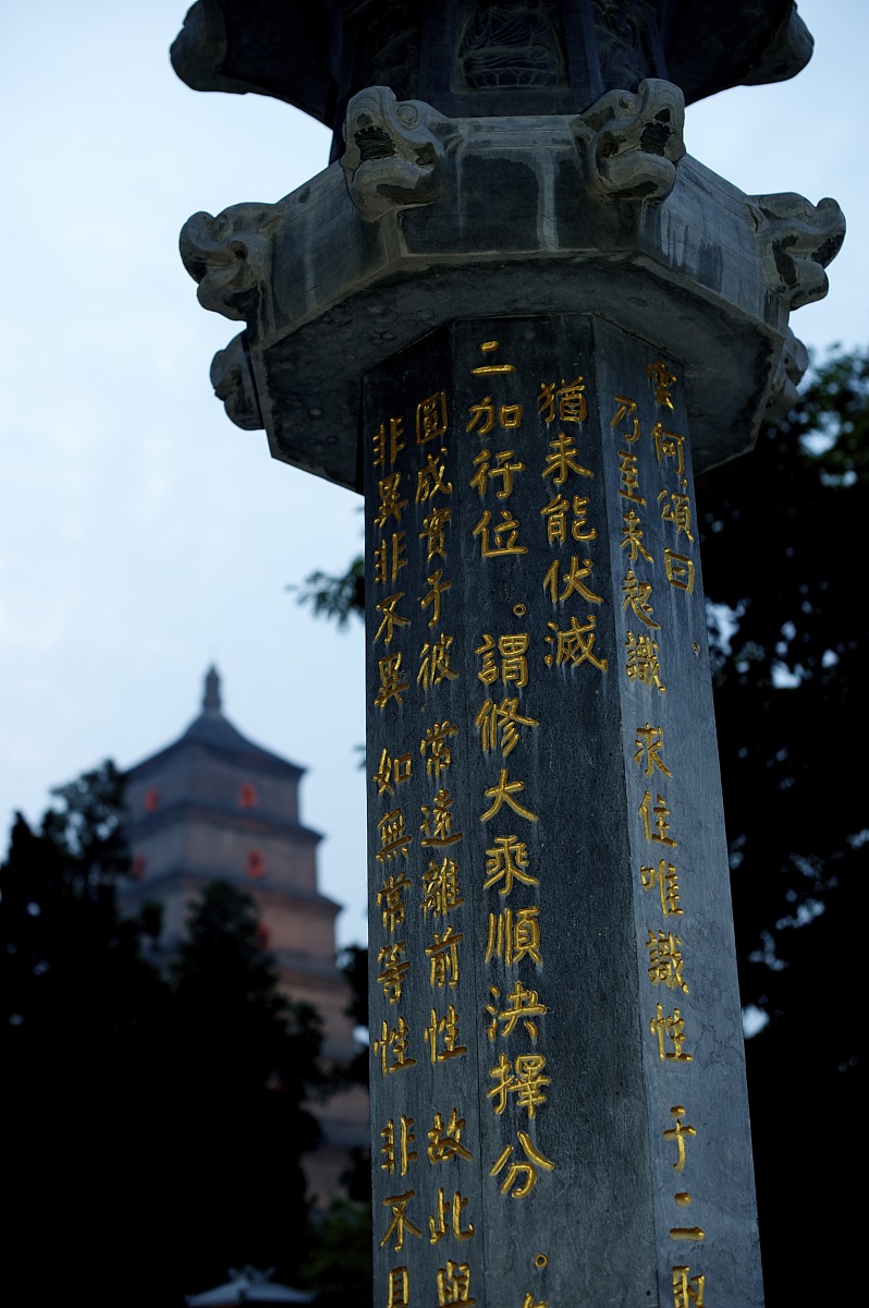 西安航空旅游学院幼师(大专)招生条件及就业前景深度解读