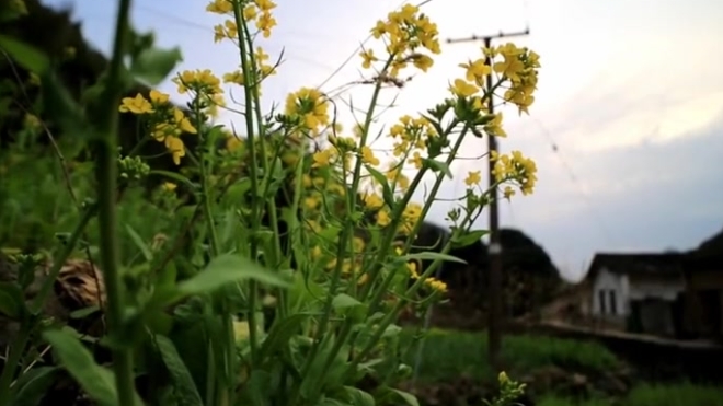 太湖龙潭寨:高山流水古寨奇