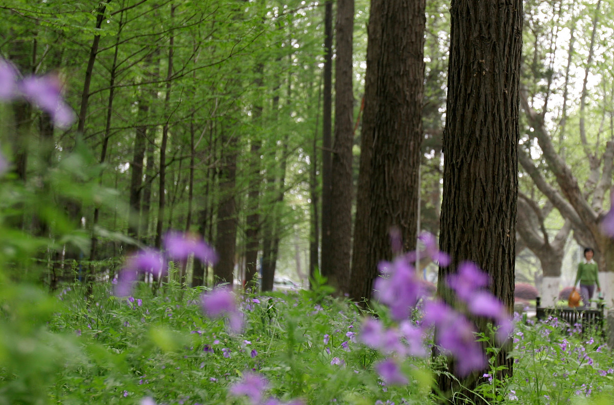 泰安市理工中等专业学校建筑工程施工专业简介-好不好