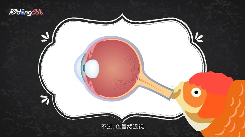 金鱼是近视眼吗?