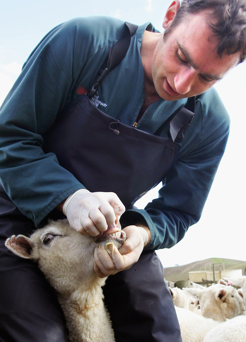 四川有哪些中专畜牧专业的中专学校？