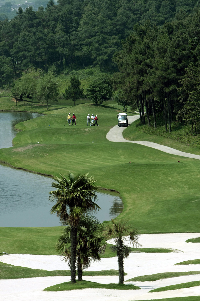 回忆绿色 - 一首关于环保的电子中文歌曲