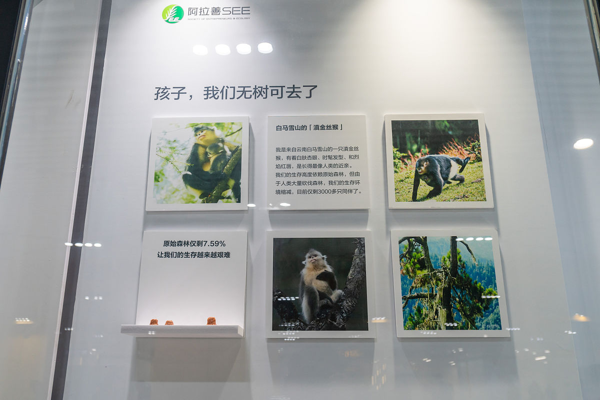 在政府环保管家项目公开招标期间给政府提供的管家服务该如何写汇报材料申请资金