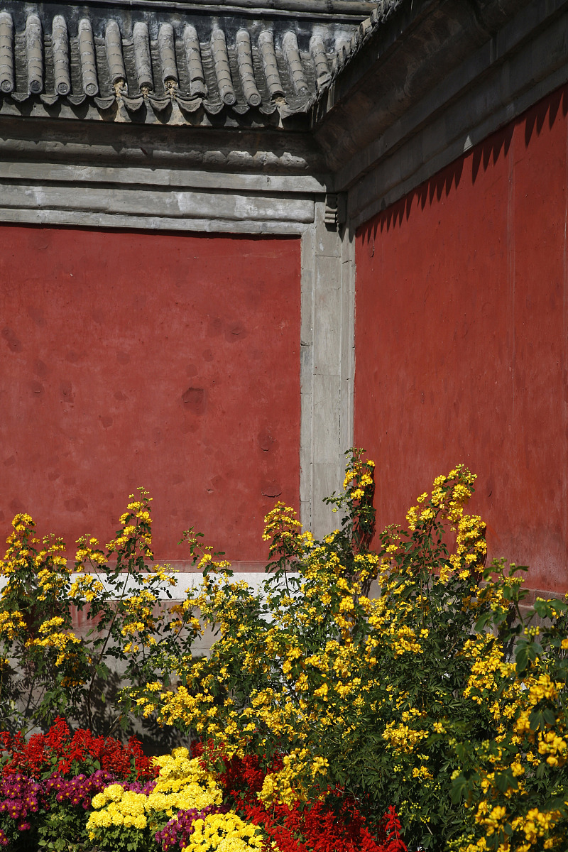 中国近代灾荒史：一个多灾多难的历史时期
