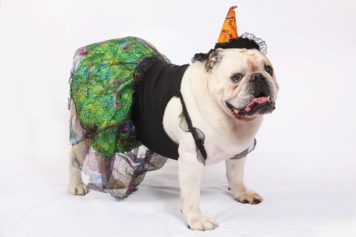 喜欢的人不喜欢自己怎么办