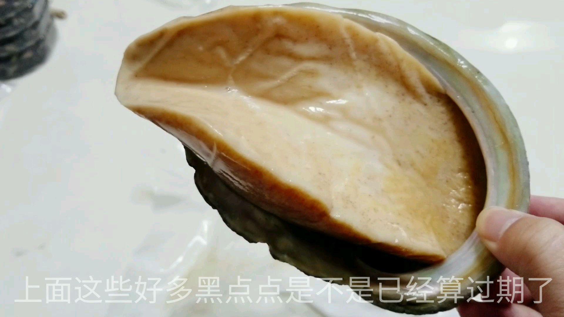 68元超大非洲“黄金鲍”,那么大的金色鲍鱼第一次看,味道好吃吗