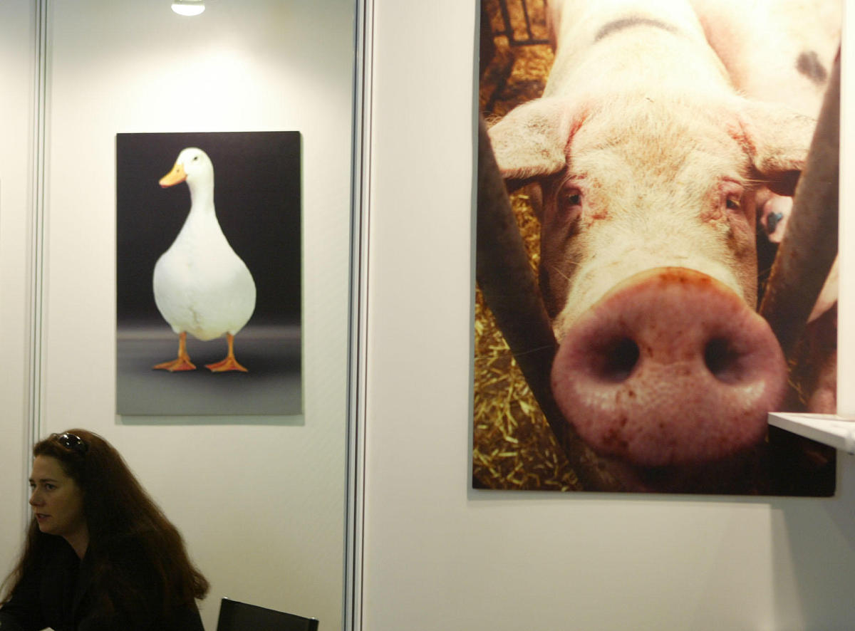 嘉兴职业技术学院畜牧工程技术专业怎么样？前景好吗？