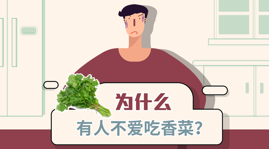 为什么有的人不吃香菜?