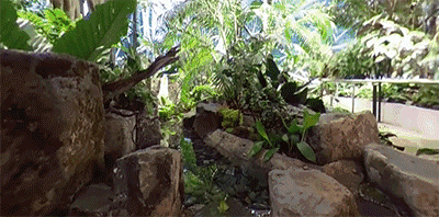 狂砸250億!亞馬遜花7年時間建造辦公室,員工們搶著要加班!