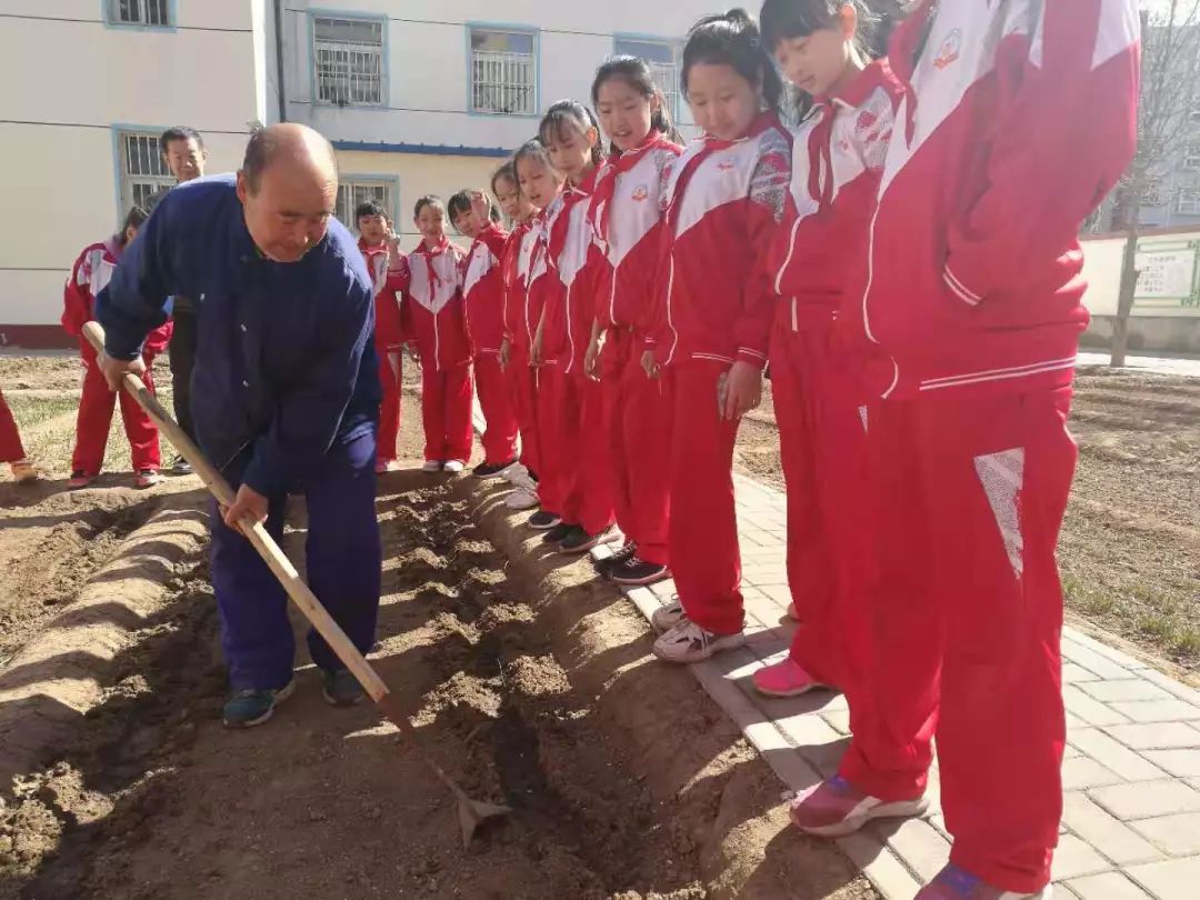 漷县镇中心小学红领巾实践基地体验农耕播种