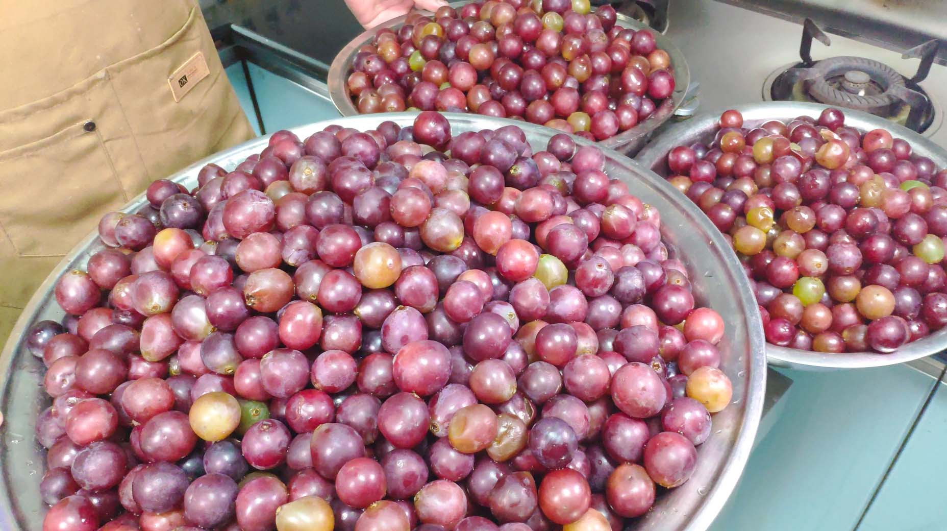 老刘自酿葡萄酒,一次酿了70斤,方法简单又健康,15天就能喝!