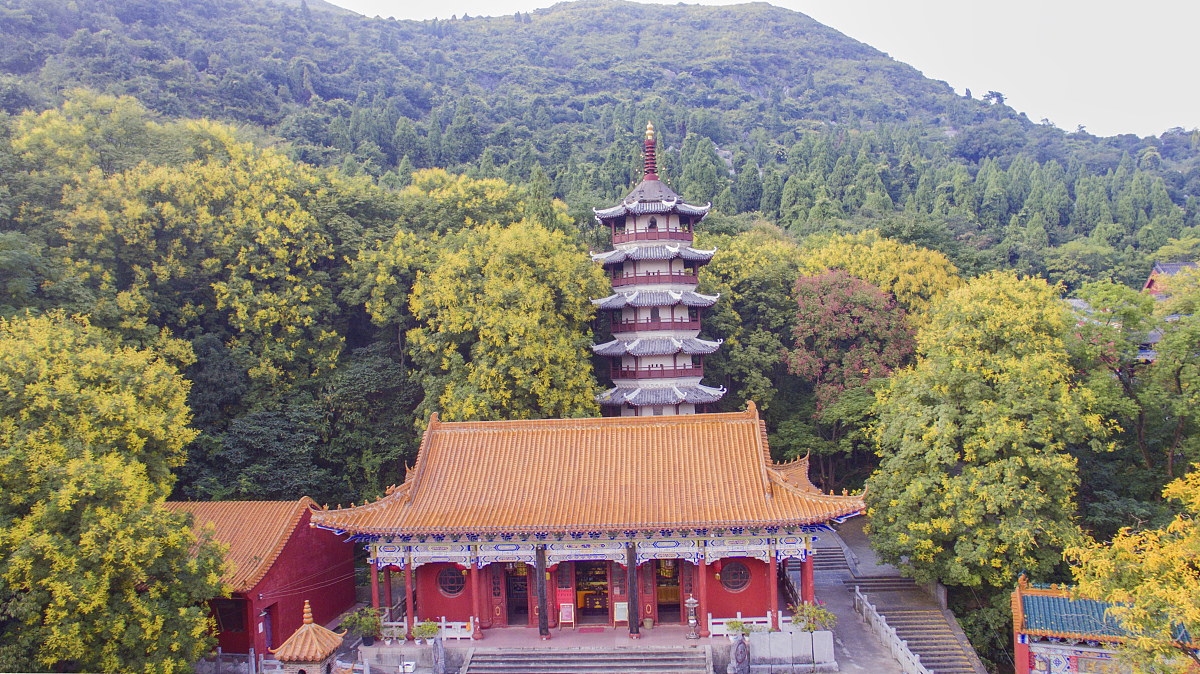 广西旅游学校2022年招生简章：专业解读及优势分析