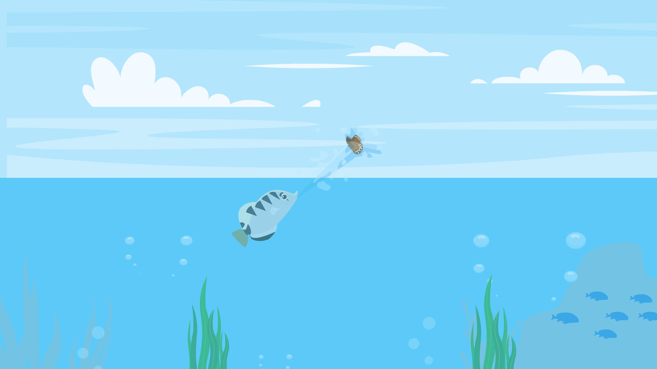 一分钟了解射水鱼