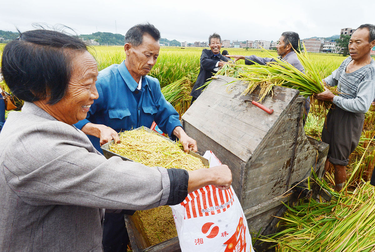 下三乡活动：助力中国农村发展，改善农民生活