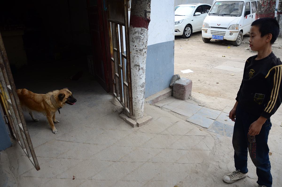 山东职业技工学校电子商务就业前景如何