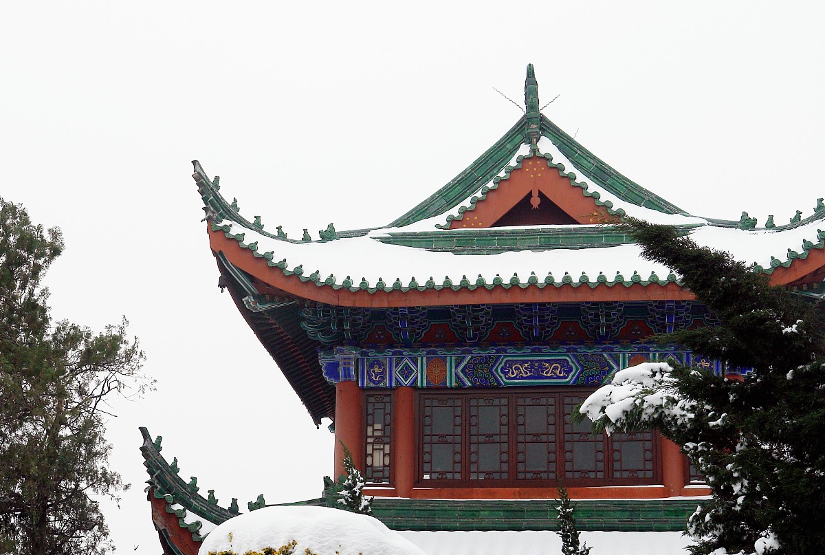 河南旅游学院旅游服务与管理(专、本科)专业前景及招生条件