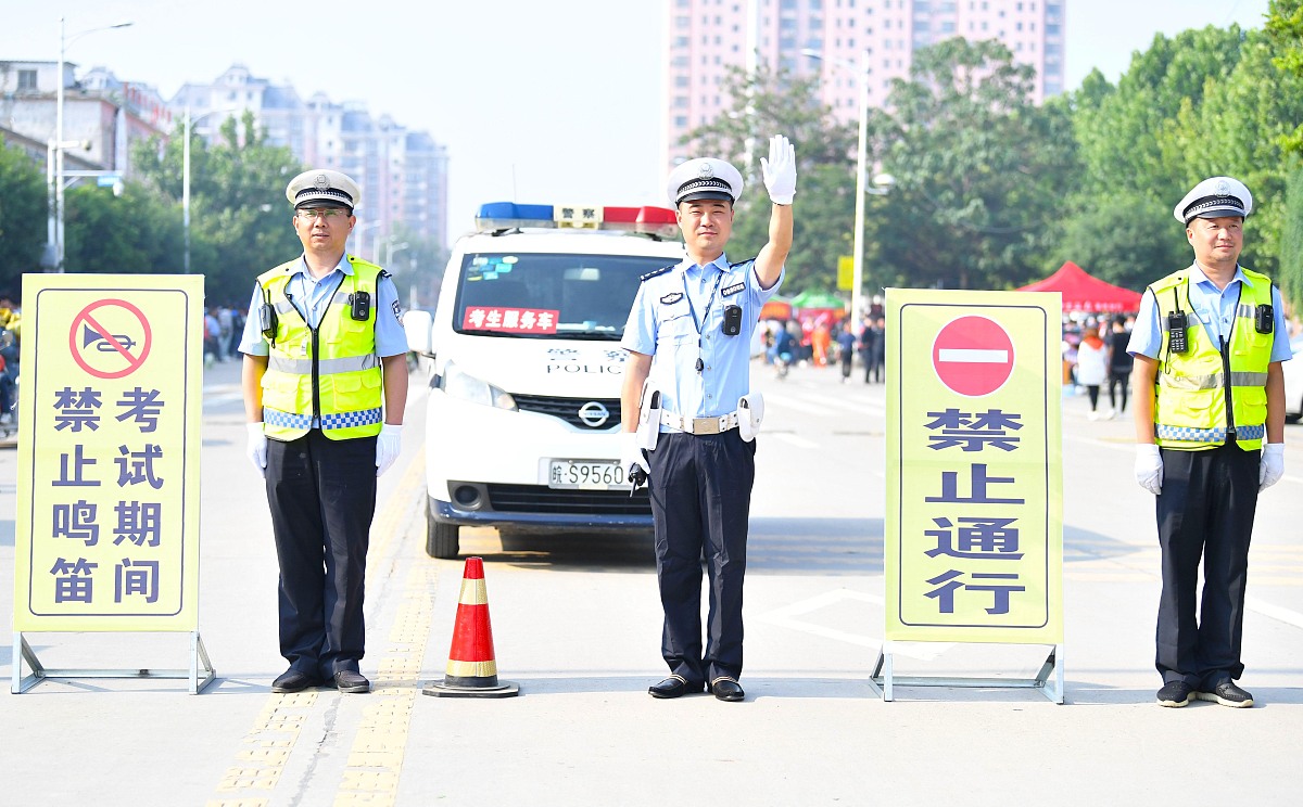 运管所：交通运输管理的守护者