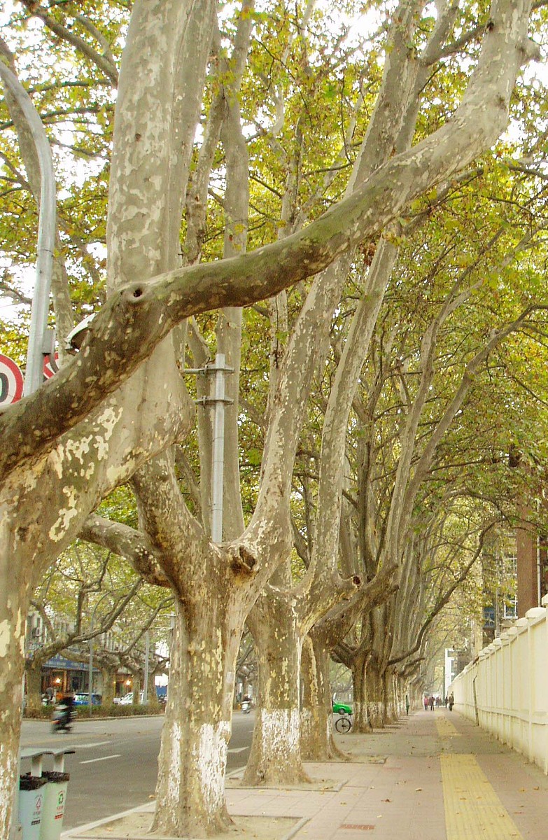 西安市园林技工学校园林工程专业介绍：培养优秀的园林工程人才