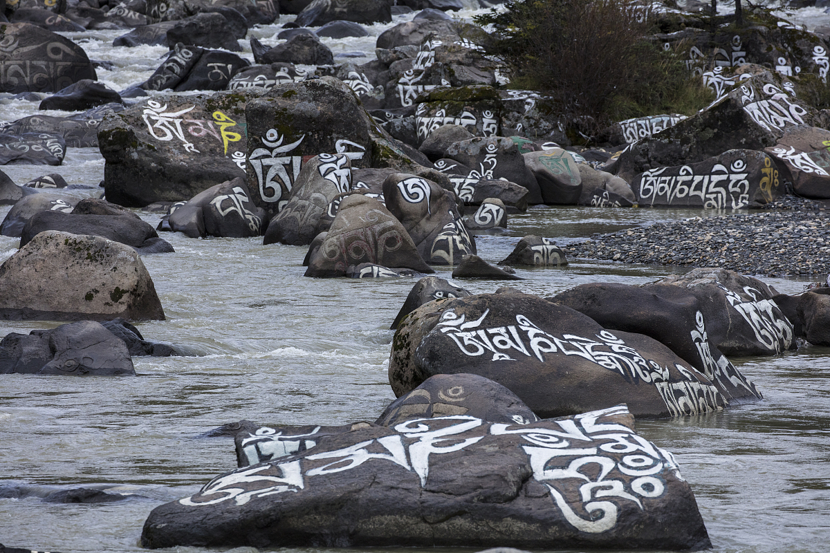 四川省藏文学校官网 | 培养藏文人才，传承藏文文化