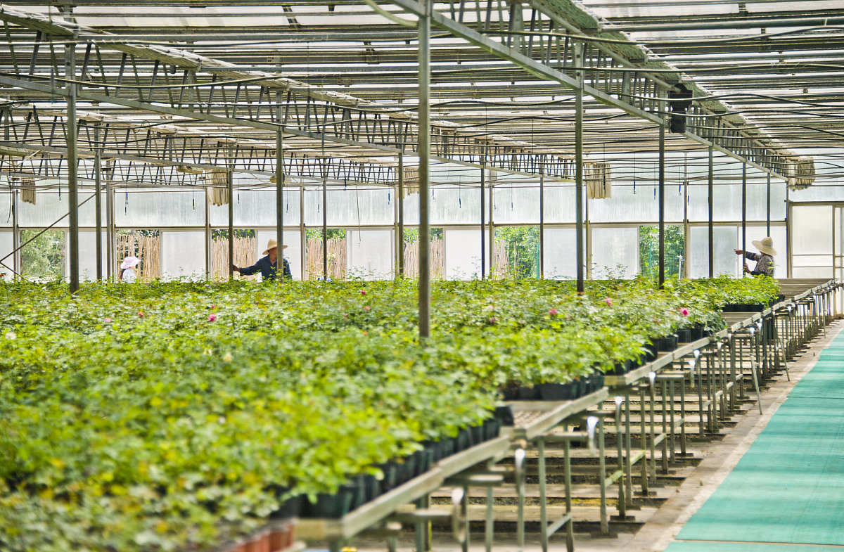 乐山市海棠职业学校设施农业与装备专业介绍