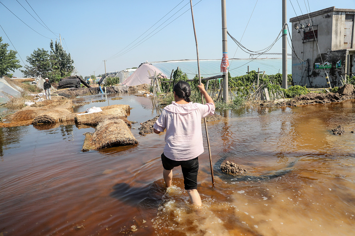寿光媒体曝光求助热线是多少？请用媒体的口吻生成一篇文章。