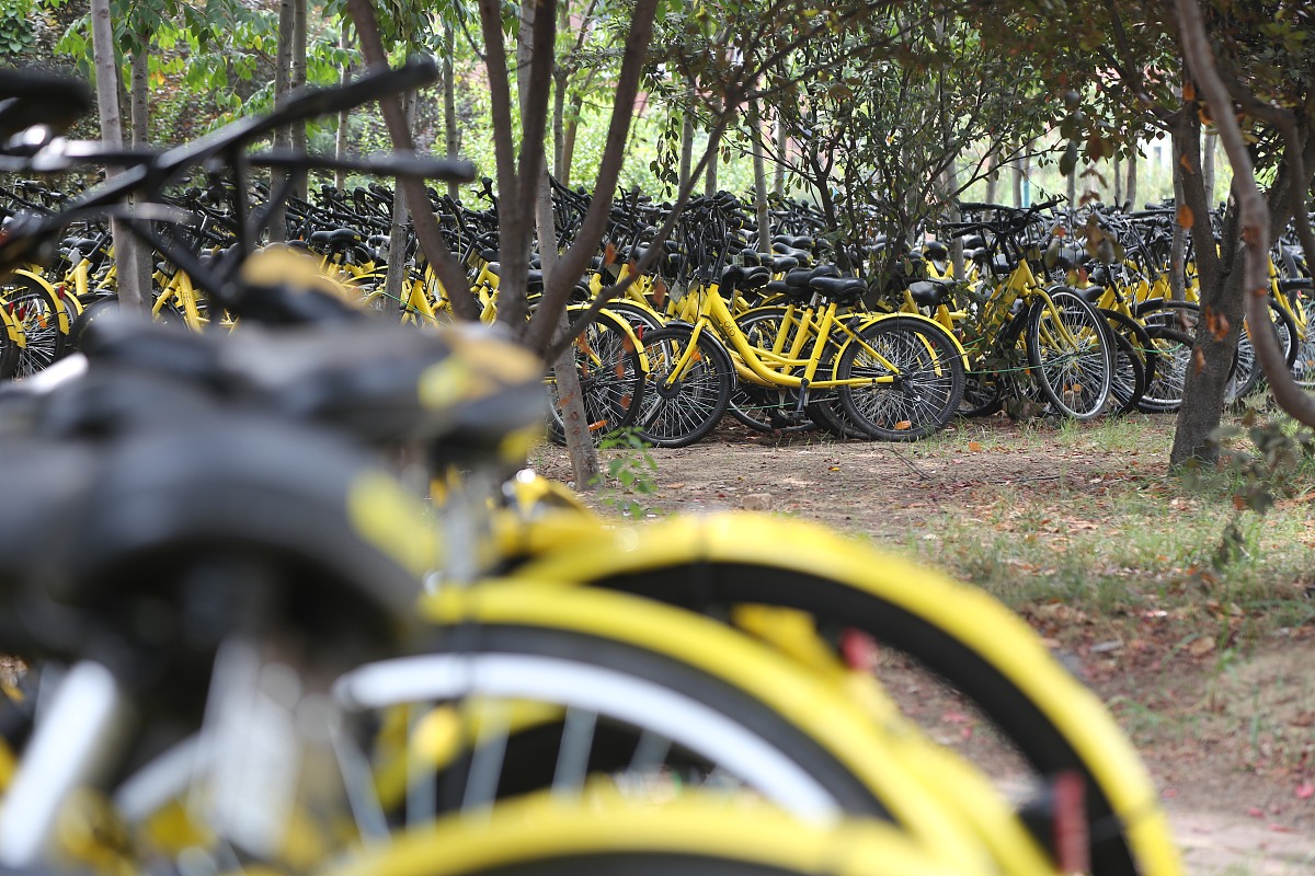 贵阳航空学校毕业生就业方向：机场地勤