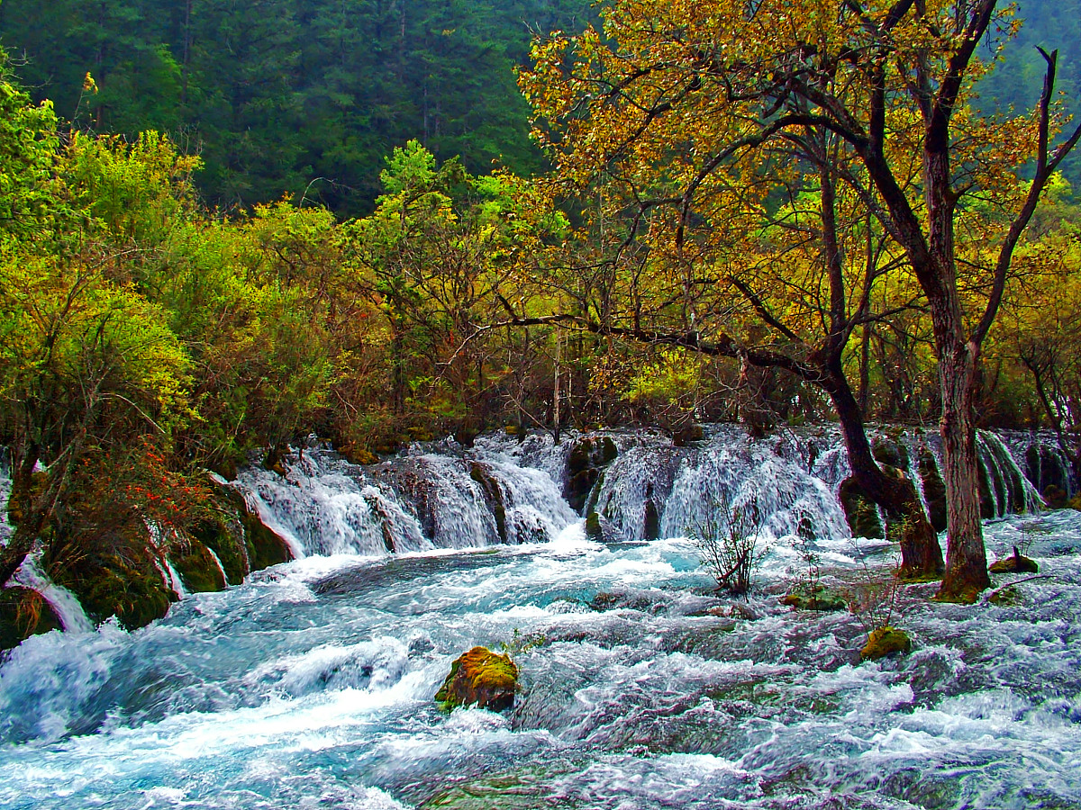 四川四六级报名时间