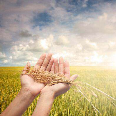 最新适合农村的几个创业小项目,看看我们身边