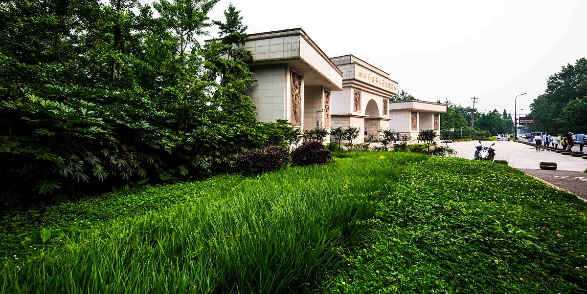 成都公办职业学校推荐：选择你的未来之路