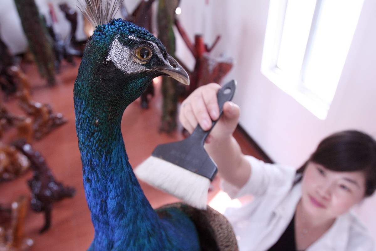 重庆市开县巨龙中等职业技术学校特种动物养殖教学质量怎么样