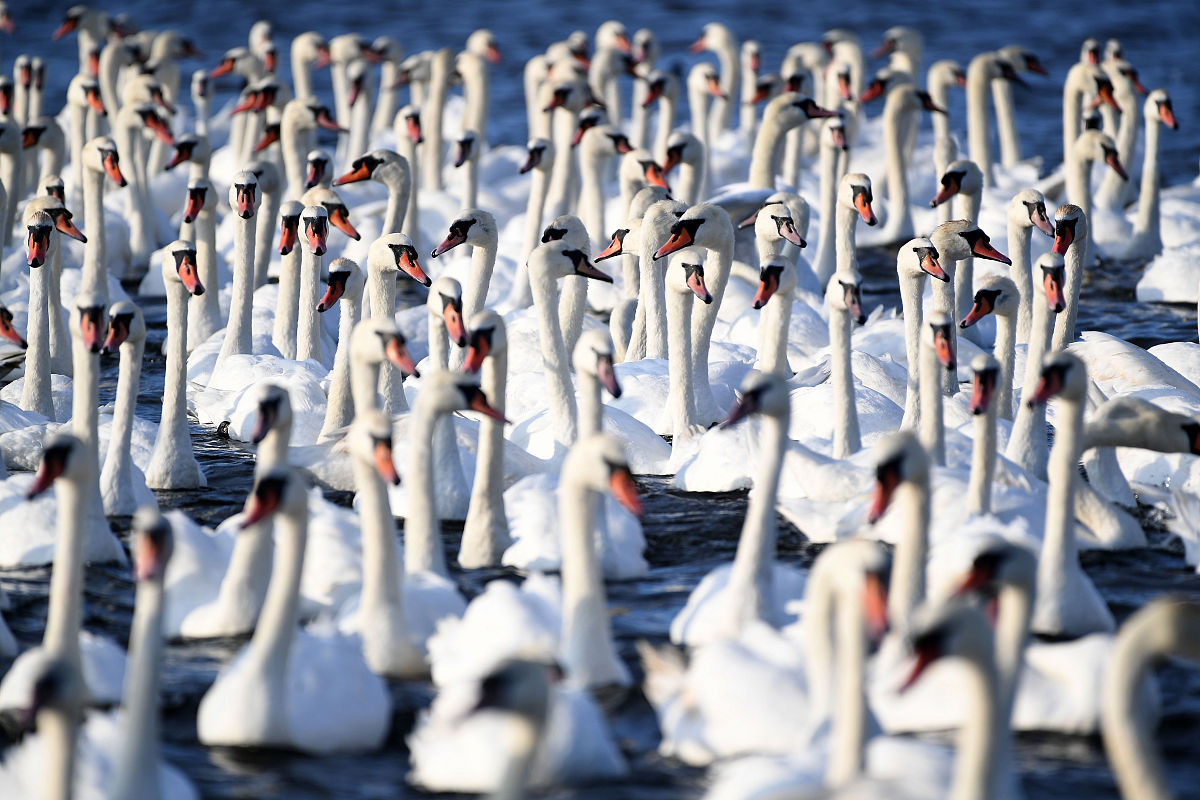 报读四川省宜宾卫生学校毕业生就业去向有那些