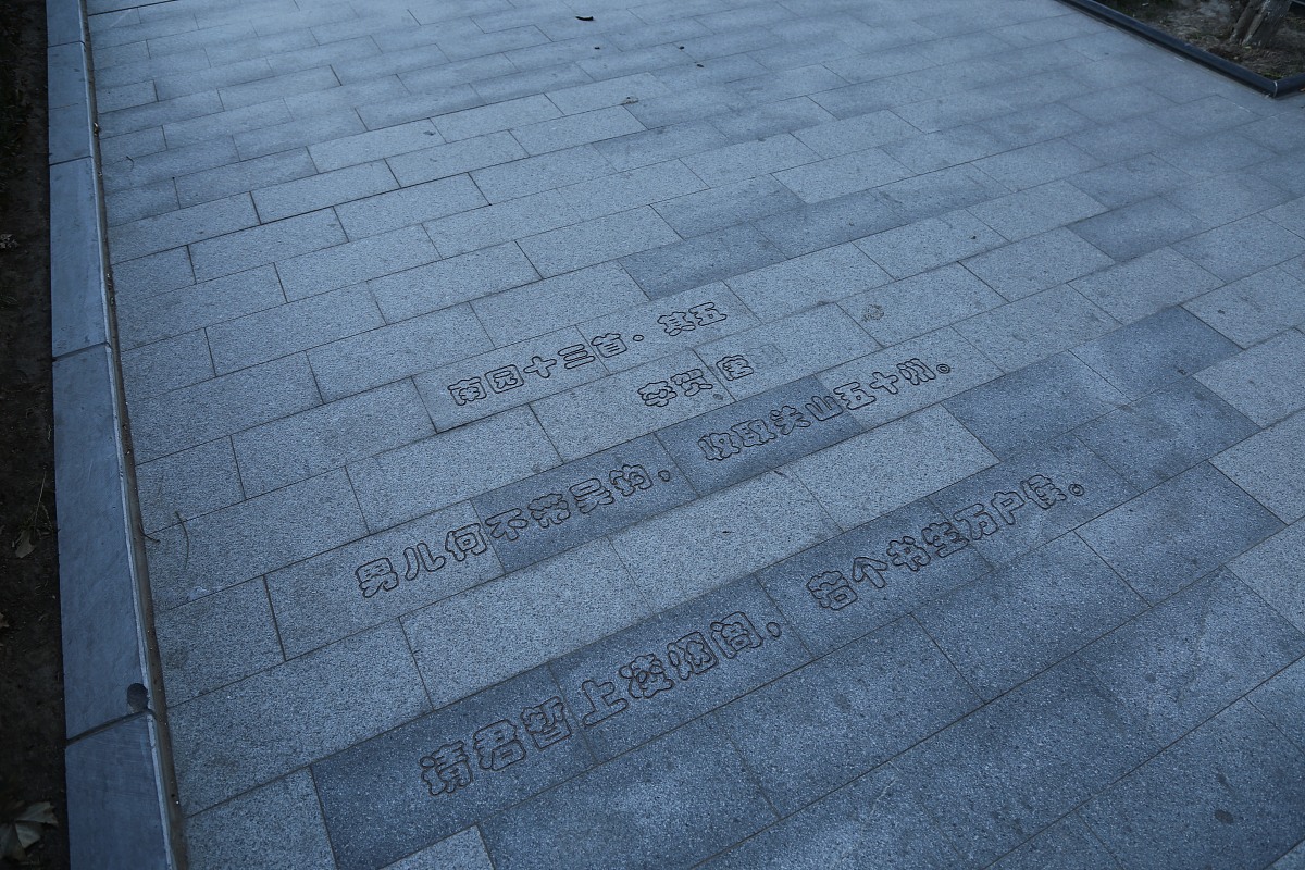 中考语文必背诗词：必备古诗词汇总及学习方法