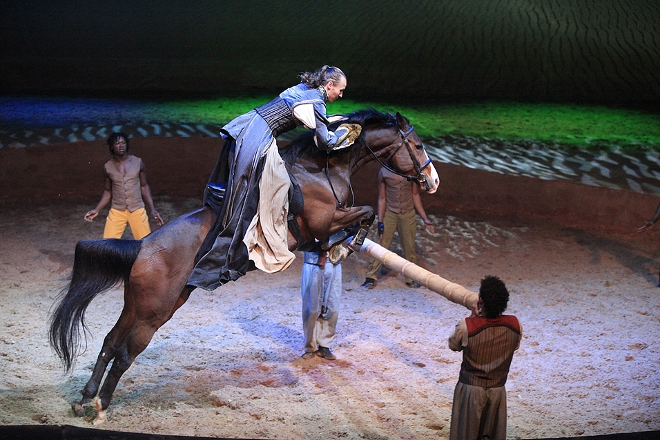 平顶山外国语学校招生简章 - 培养语言能力，成就未来梦想