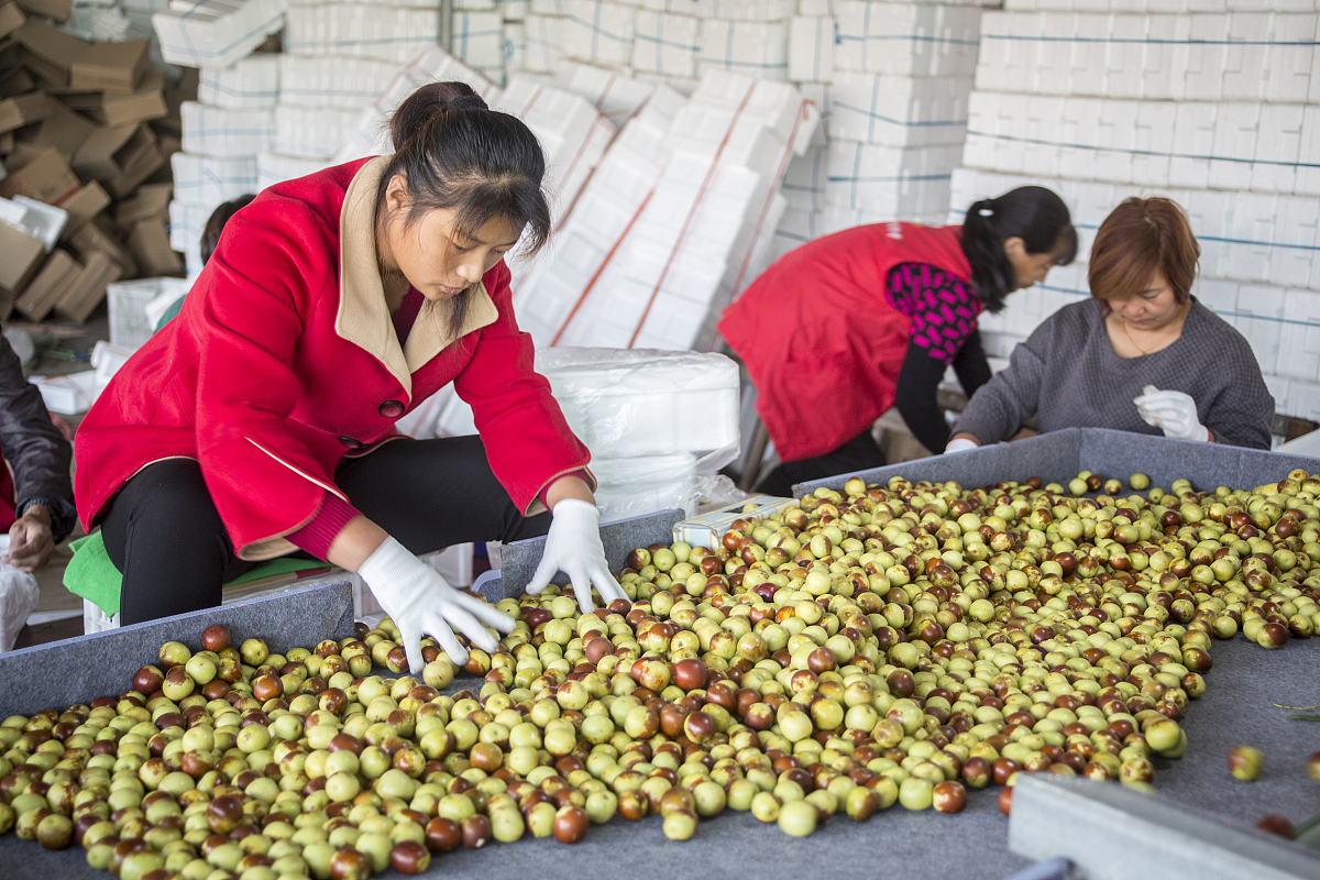 excel中高级筛选怎么筛选两项在哪