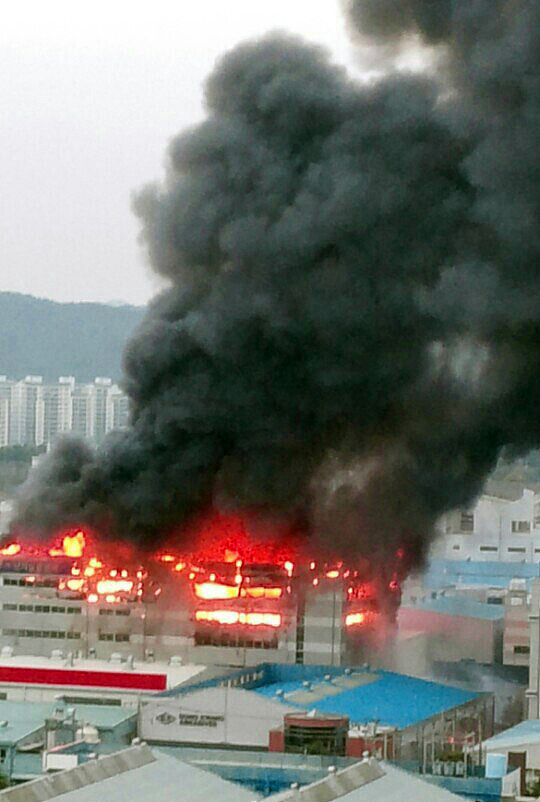 黔彩终端申请书怎么写