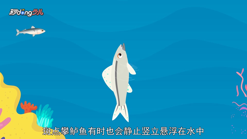 攀鲈鱼和枯叶鱼为远房亲戚?如何区分?