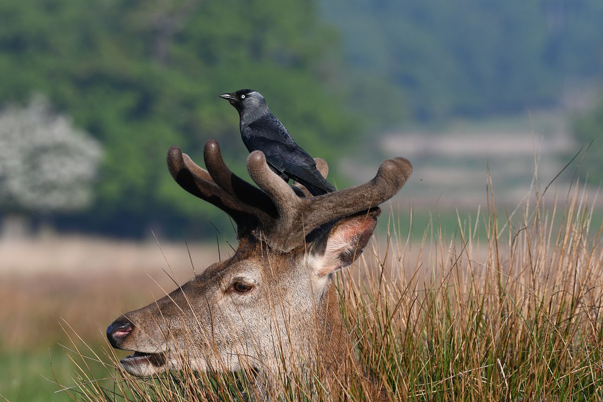 南京2023年上中专学校学什么好-怎么样
