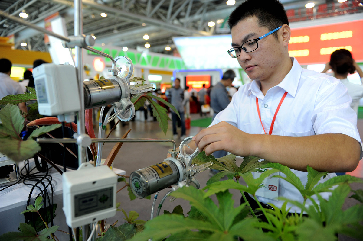 水中溶解氧对蒸腾速率的影响