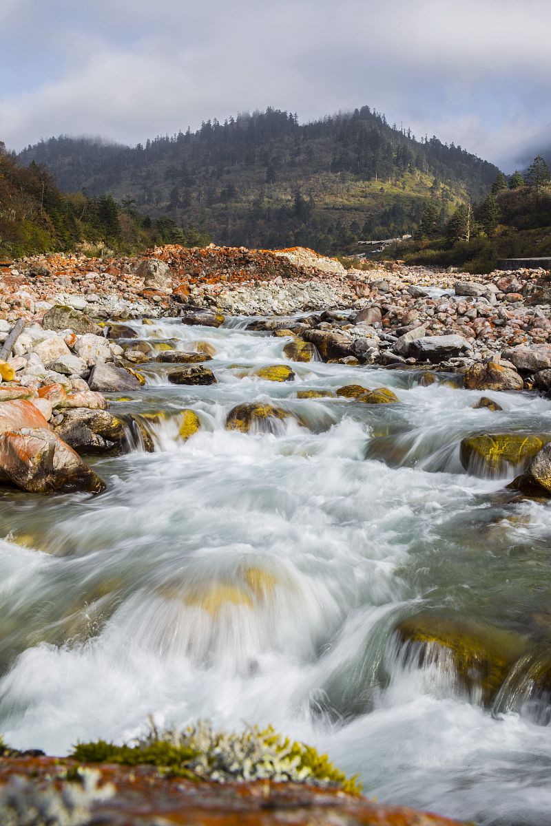 四川省旅游学校2022年招生要达到什么条件