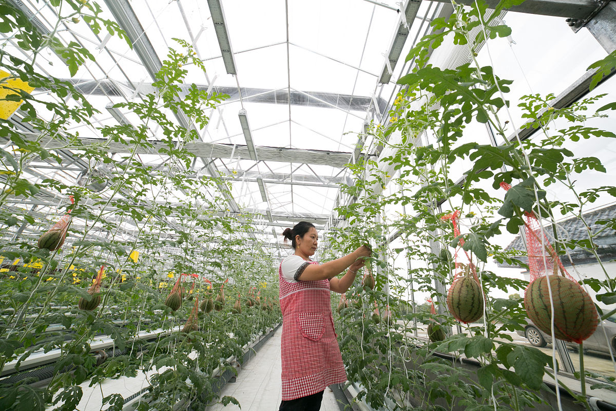 毕节市农业学校2023年招生简章-怎么样