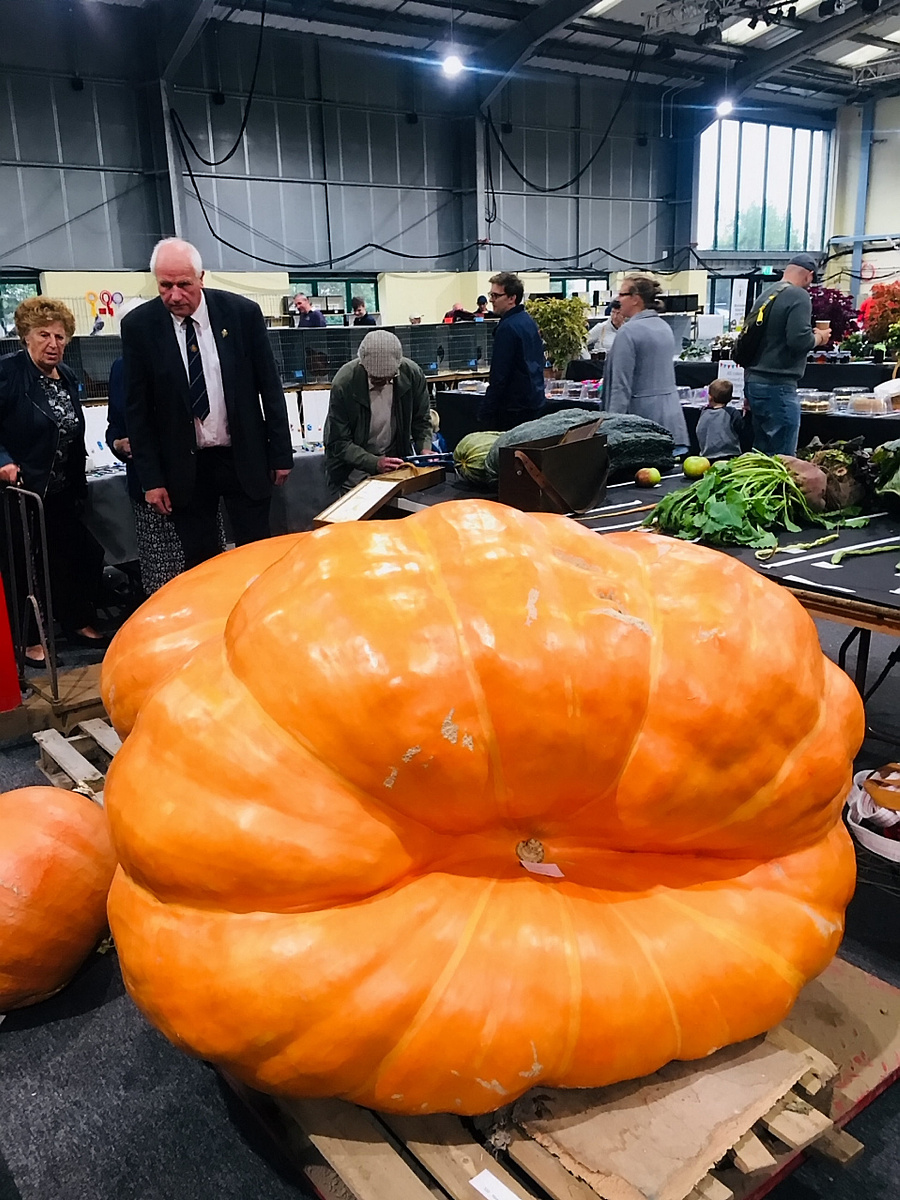 红河州农业学校园艺技术专业就业前景如何