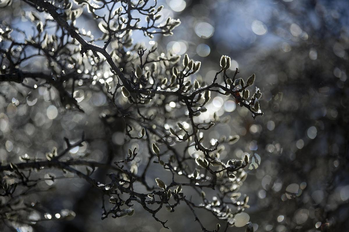 当地时间2014年1月3日,美国首场暴风雪来势汹汹,席