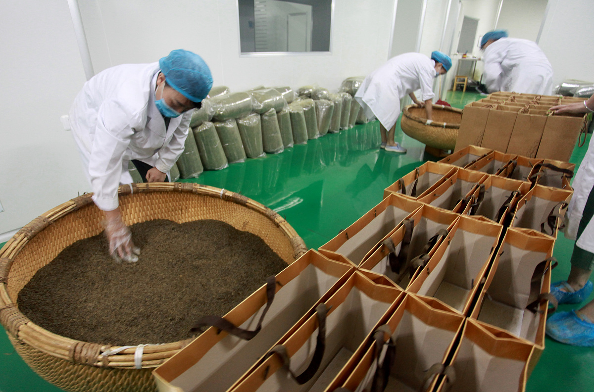 茶叶公司运营全攻略：从生产加工到市场推广