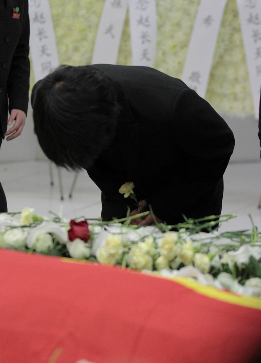 四年级下册作文：我的动物朋友们