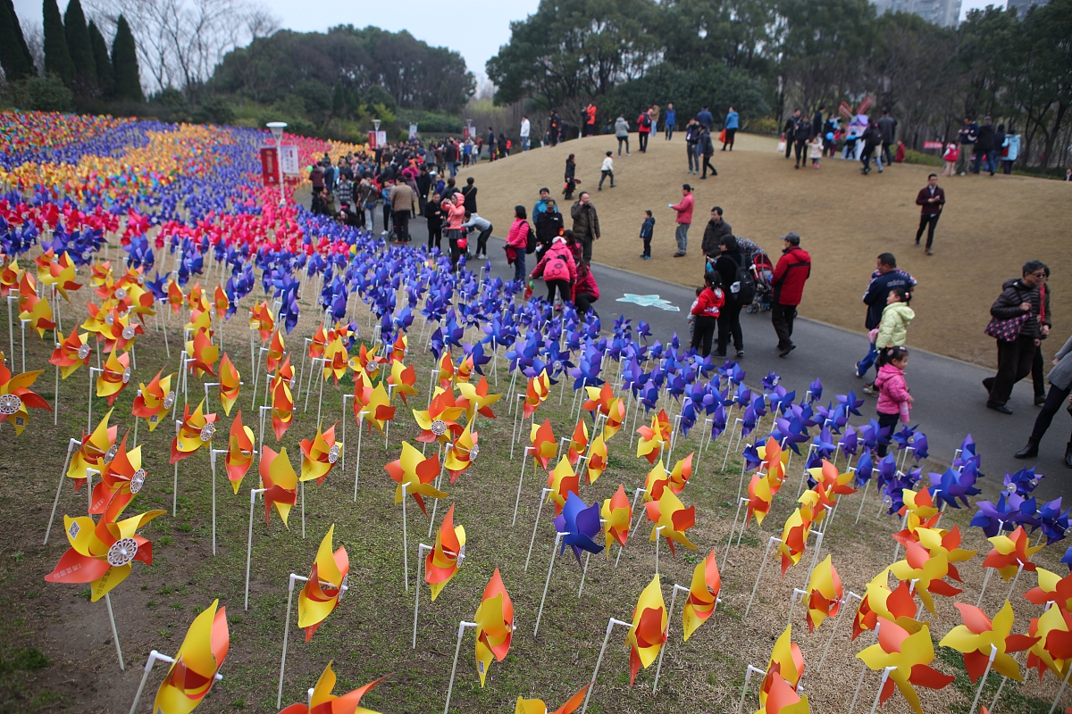 2015年3月15日,上海,为了配合郁金香花展,主办方在公园里一个小山坡上