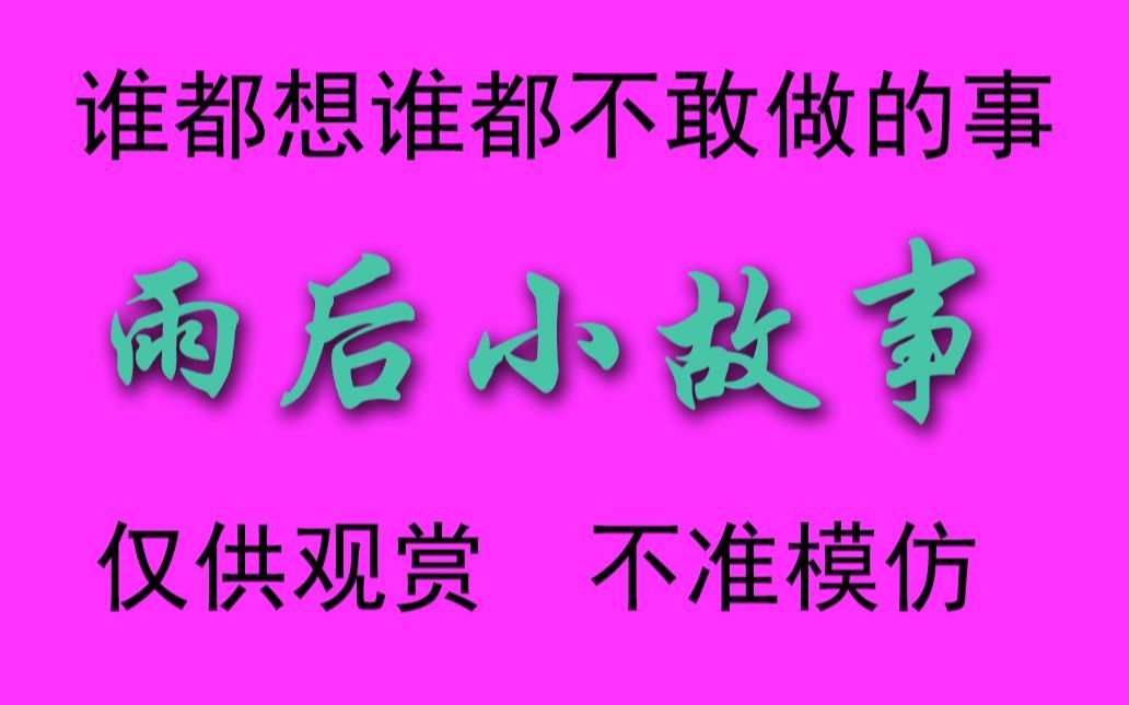 雨后小故事
