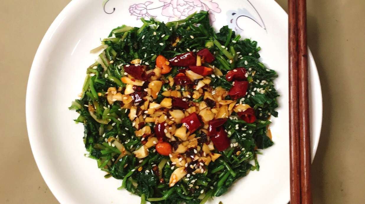 春天里好吃又健康的野菜,凉拌蒲公英,药用价值高,清热解毒