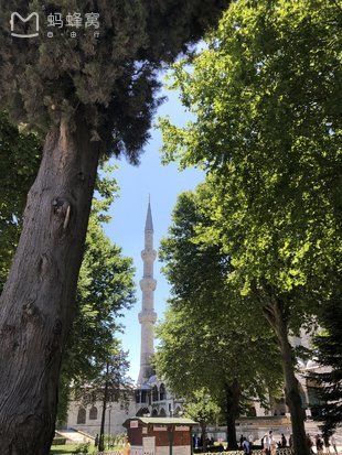 几十天进步了几百年?