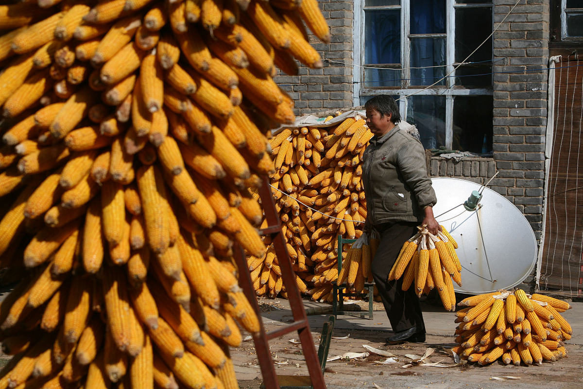 安徽科技学院农艺教育专业怎么样？-优势、不足和未来发展趋势